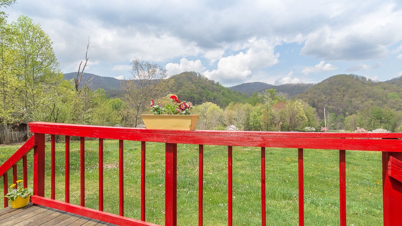 Photo of Outdoor in Roan Mountain