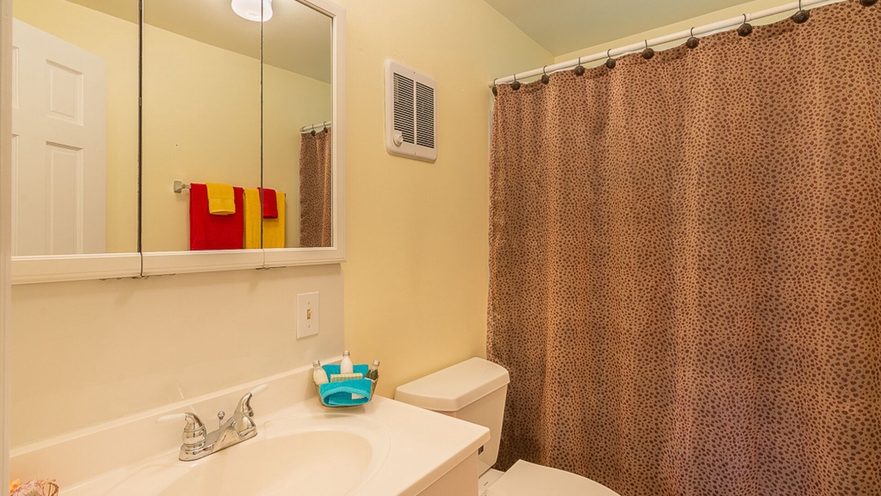 Photo of Bathroom in Roan Mountain