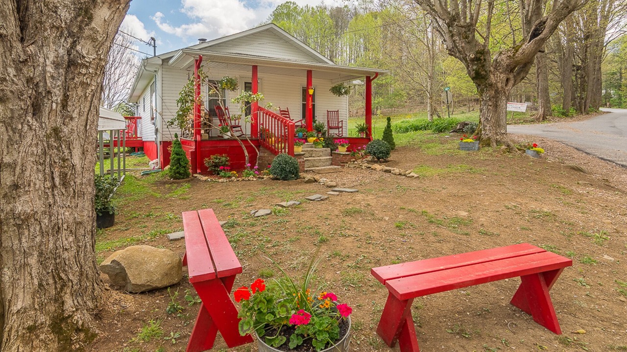 Photo of Outdoor in Roan Mountain