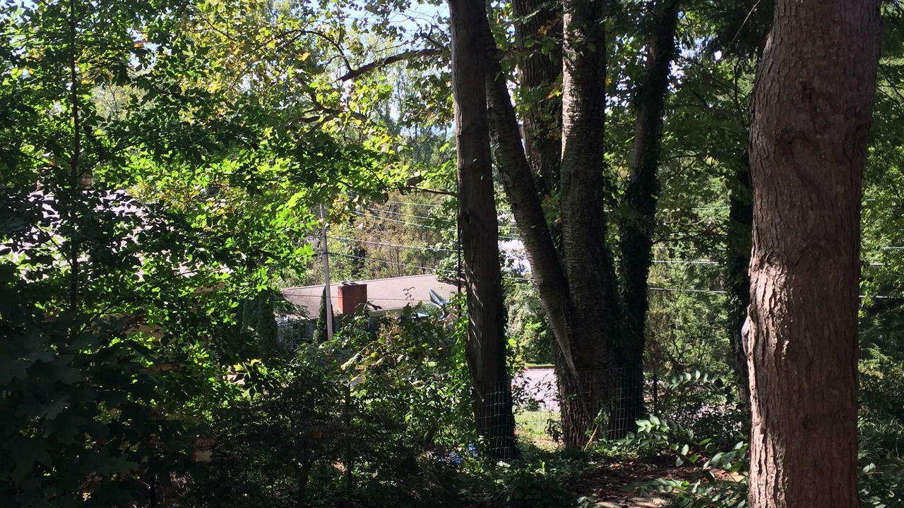 Photo of Outdoor in Charlotte Street