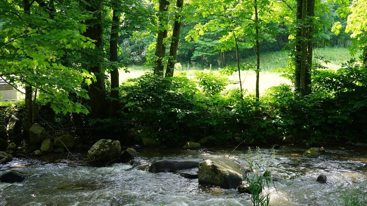 Photo of Outdoor in Hampton
