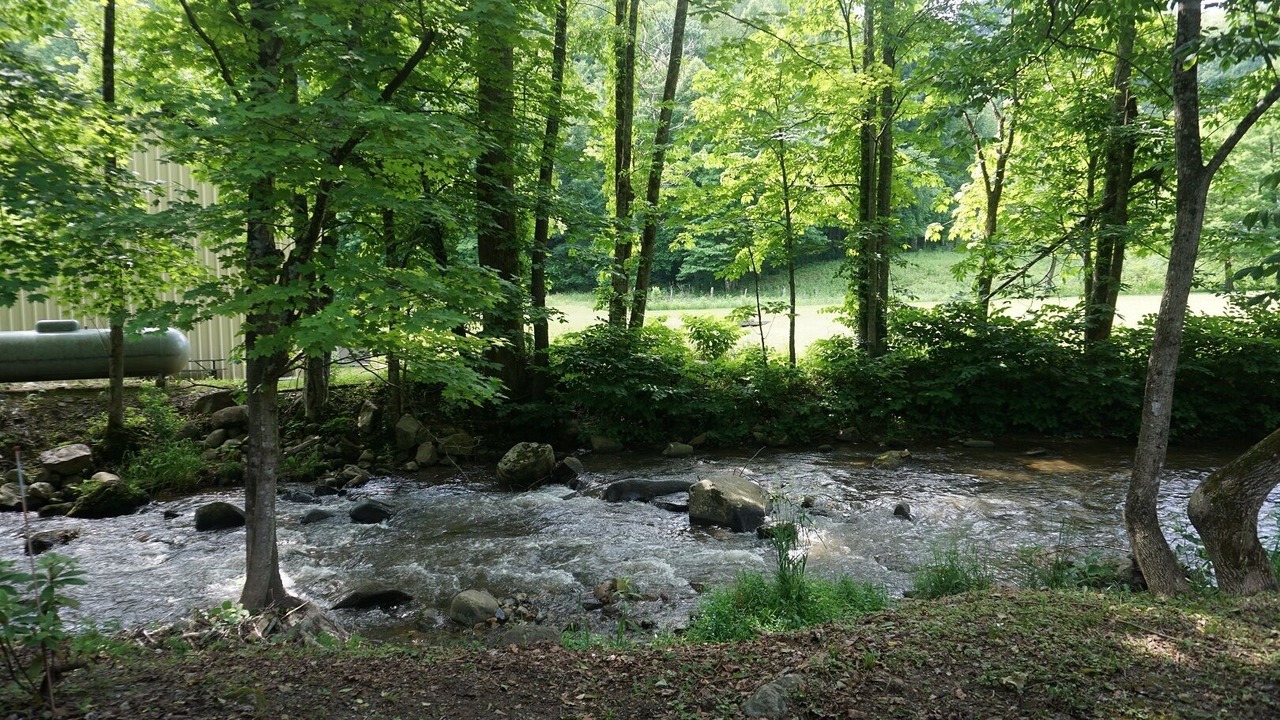 Photo of Outdoor in Hampton