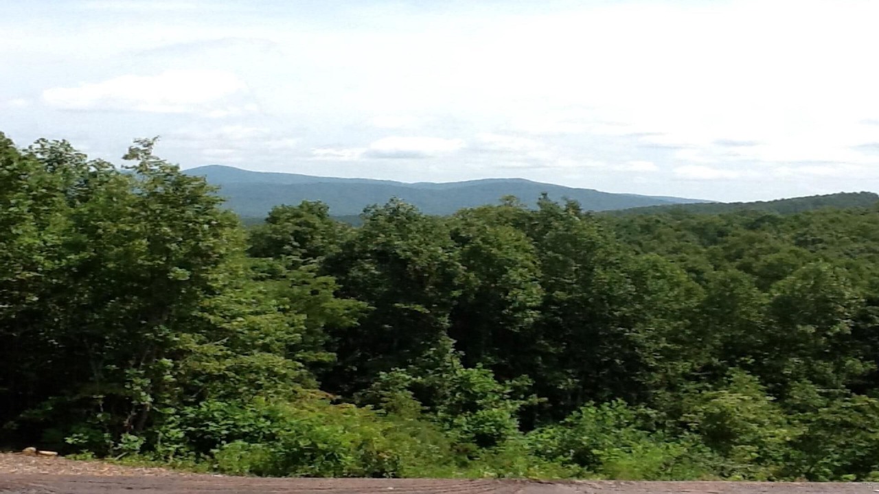 Photo of Others in Vein Mountain