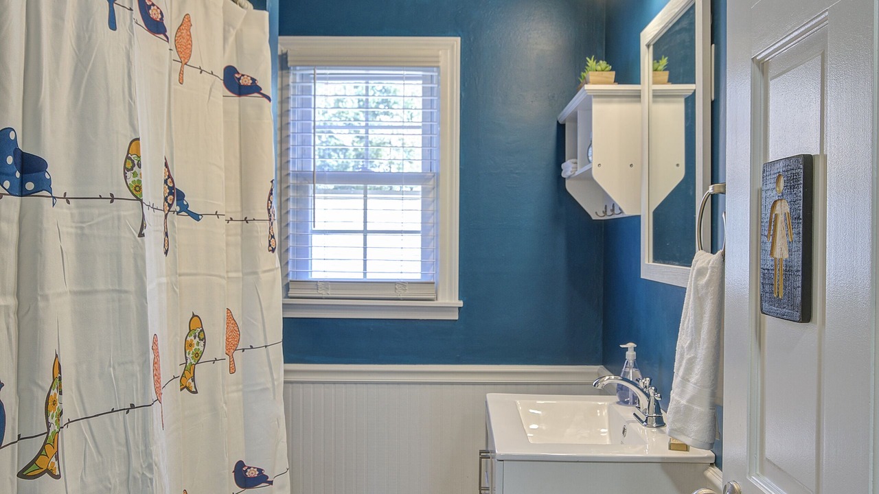 Photo of Bathroom in Johnson City