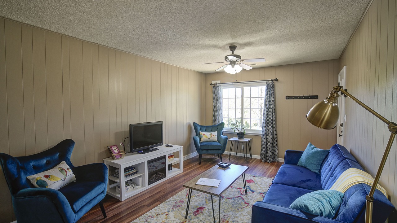 Photo of Livingroom in Johnson City