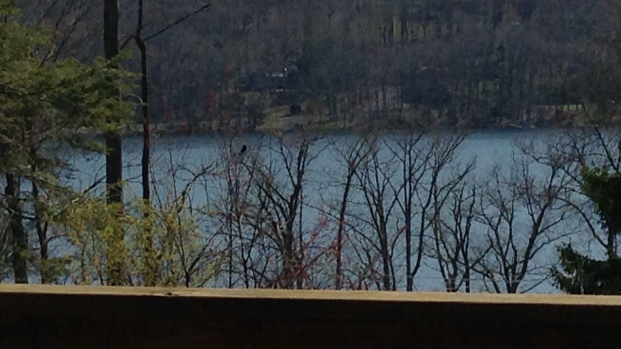 Photo of Outdoor in Thayerville