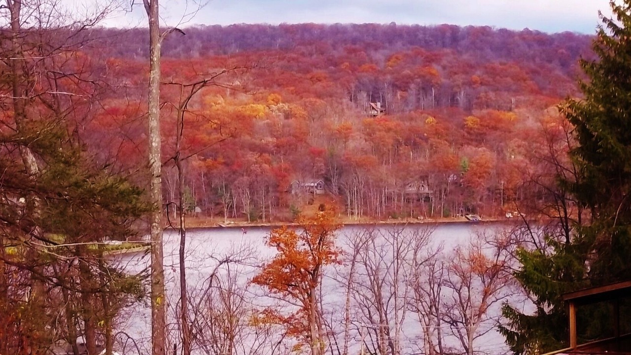 Photo of Outdoor in Thayerville