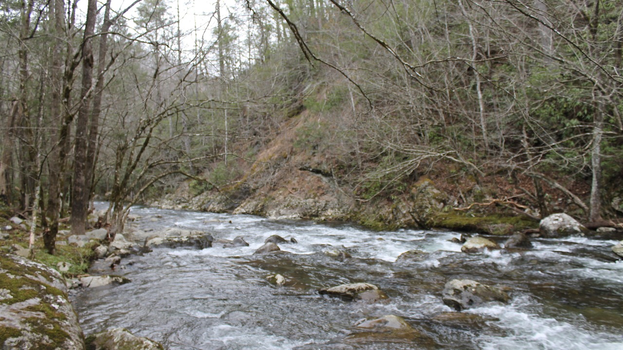 Photo of Others in Gatlinburg