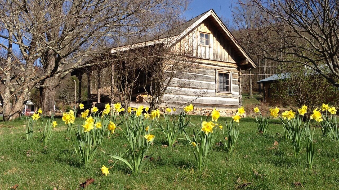 Photo of Outdoor in Barnardsville