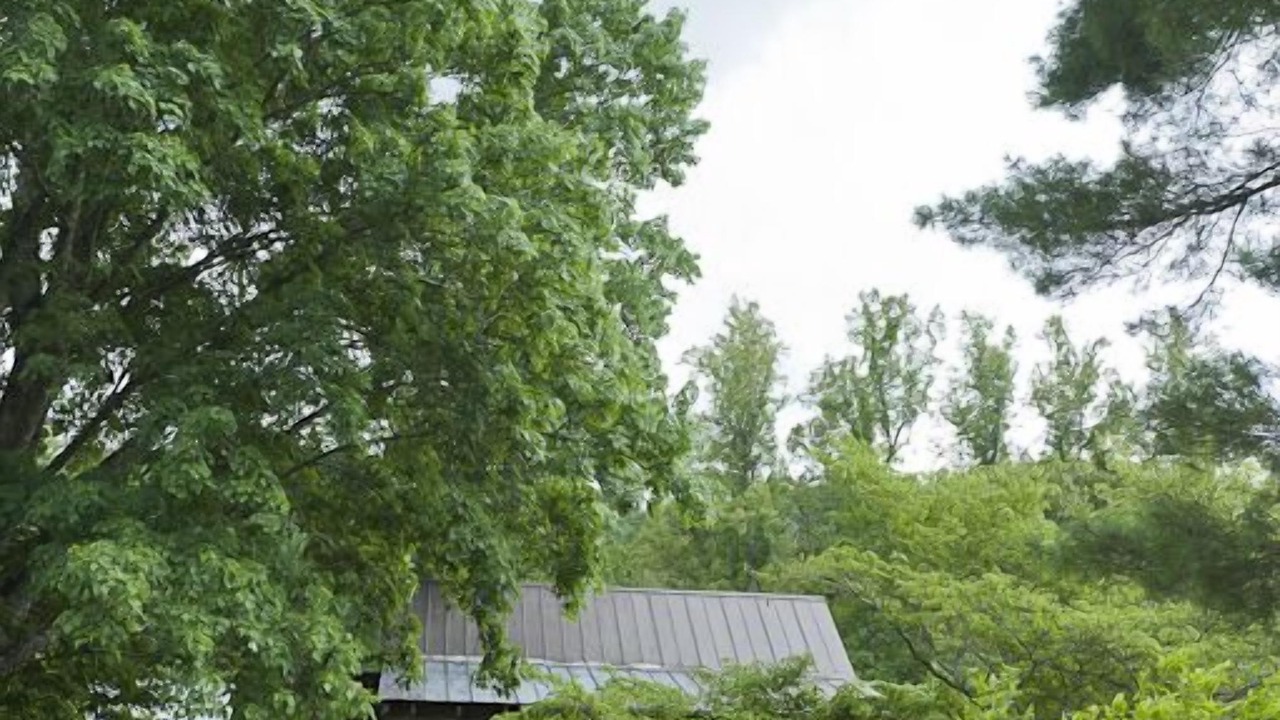 Photo of Outdoor in Barnardsville