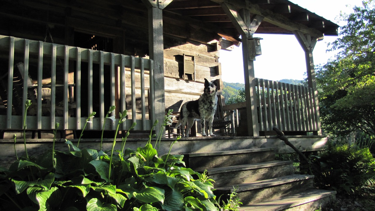 Photo of Outdoor in Barnardsville