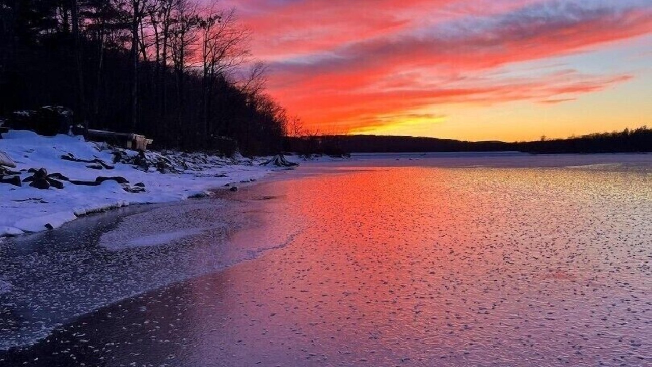 Photo of Others in Swanton