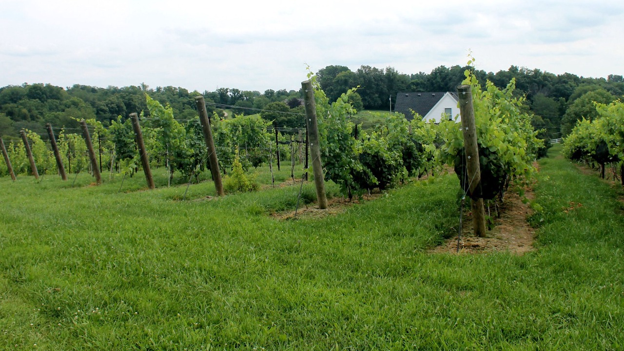 Photo of Outdoor in Crittenden