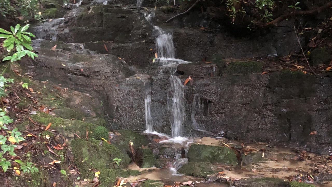 Photo of Outdoor in Brevard