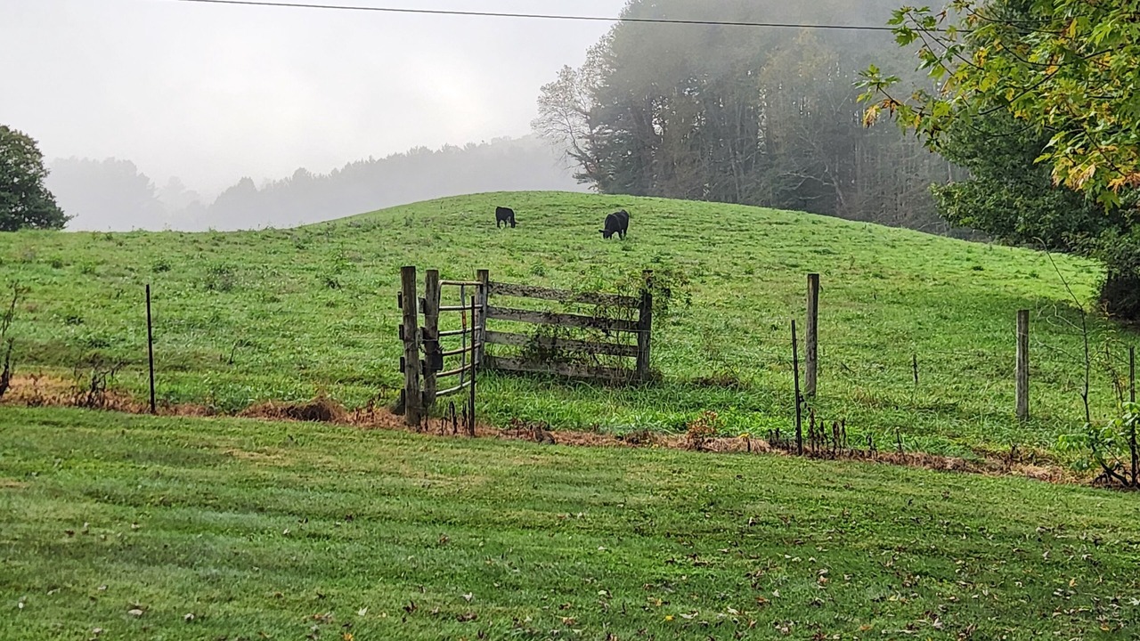 Photo of Outdoor in Mountain City