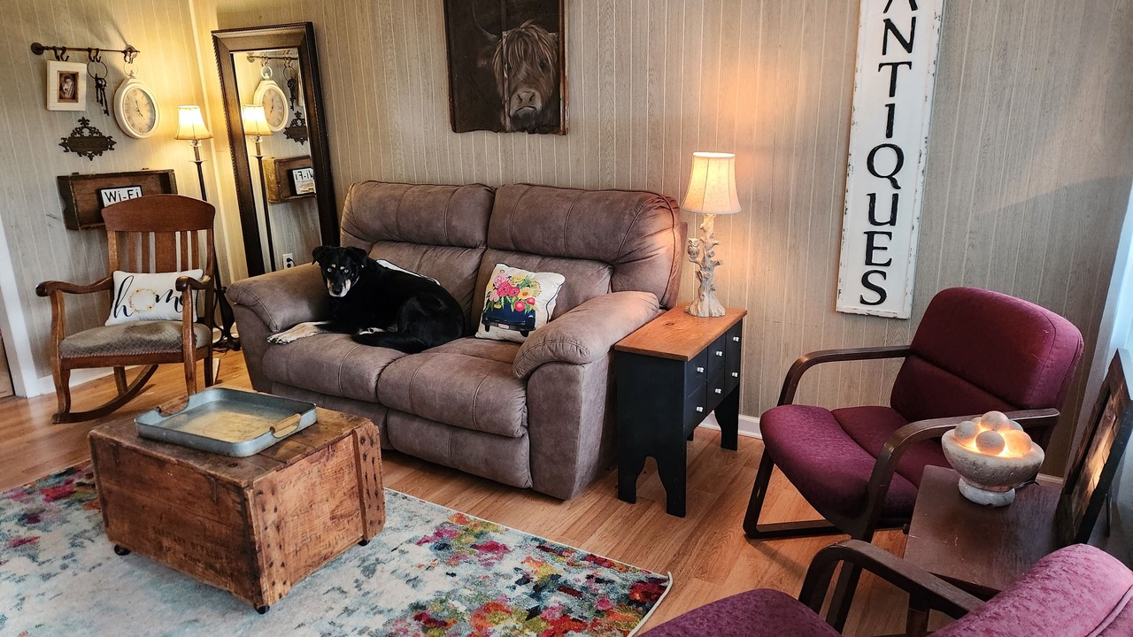 Photo of Livingroom in Mountain City
