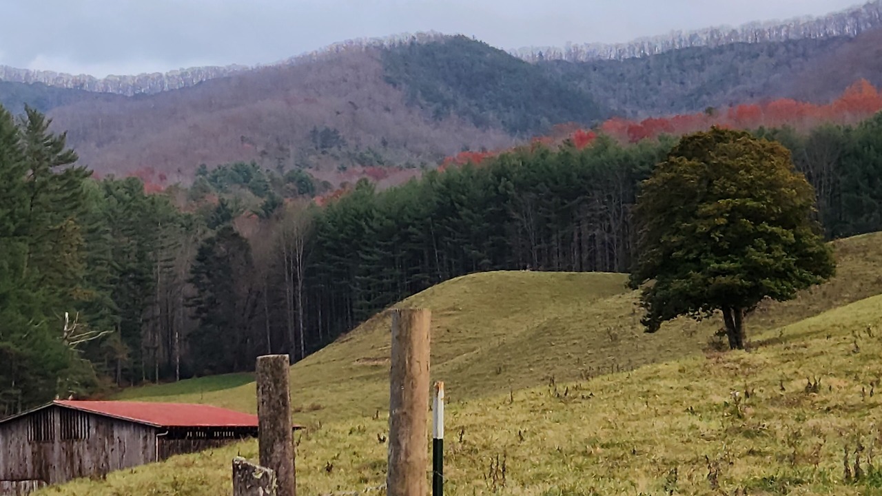 Photo of Outdoor in Mountain City