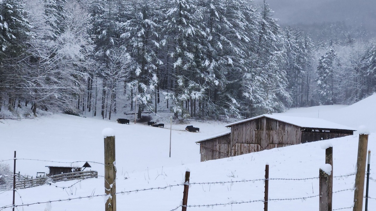 Photo of Outdoor in Mountain City