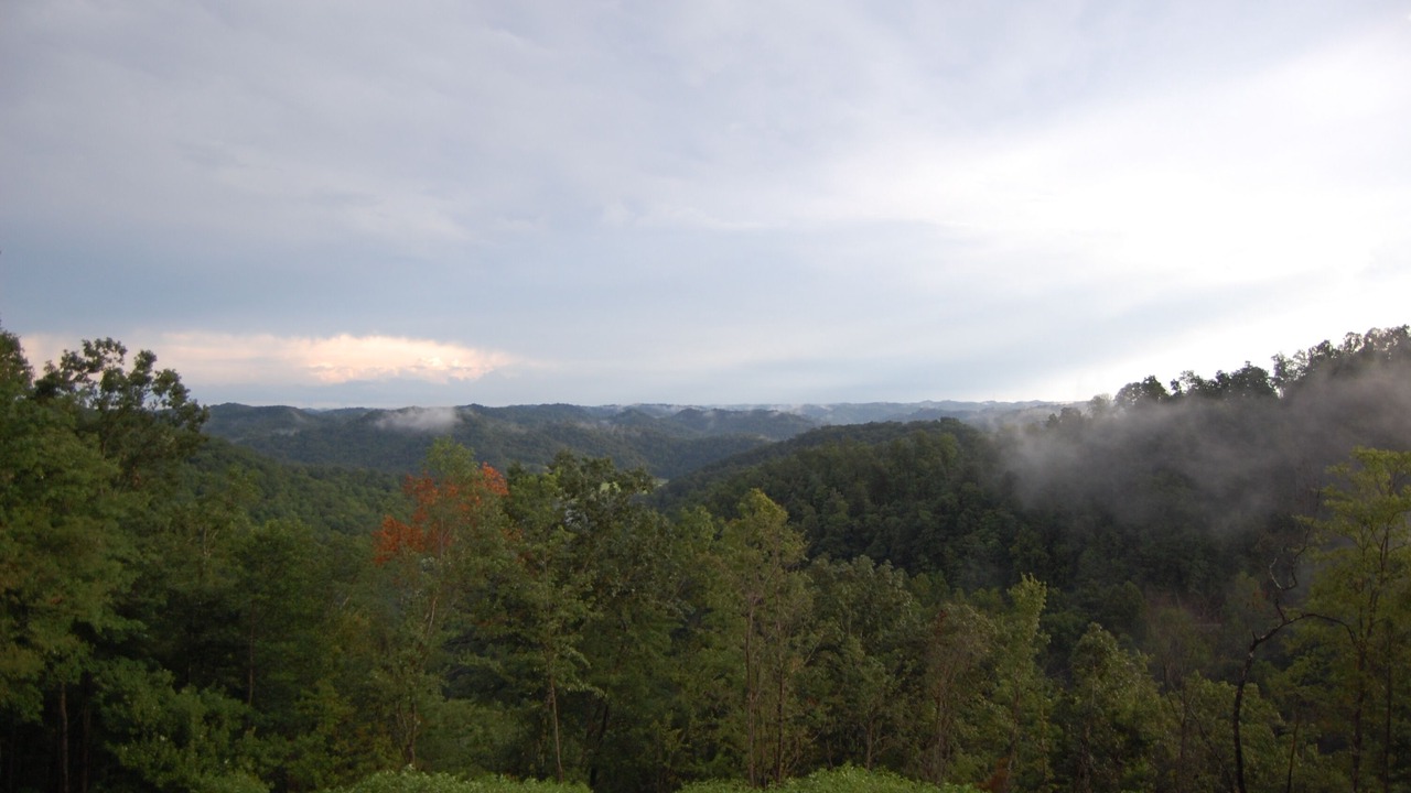 Photo of Outdoor in Jackson