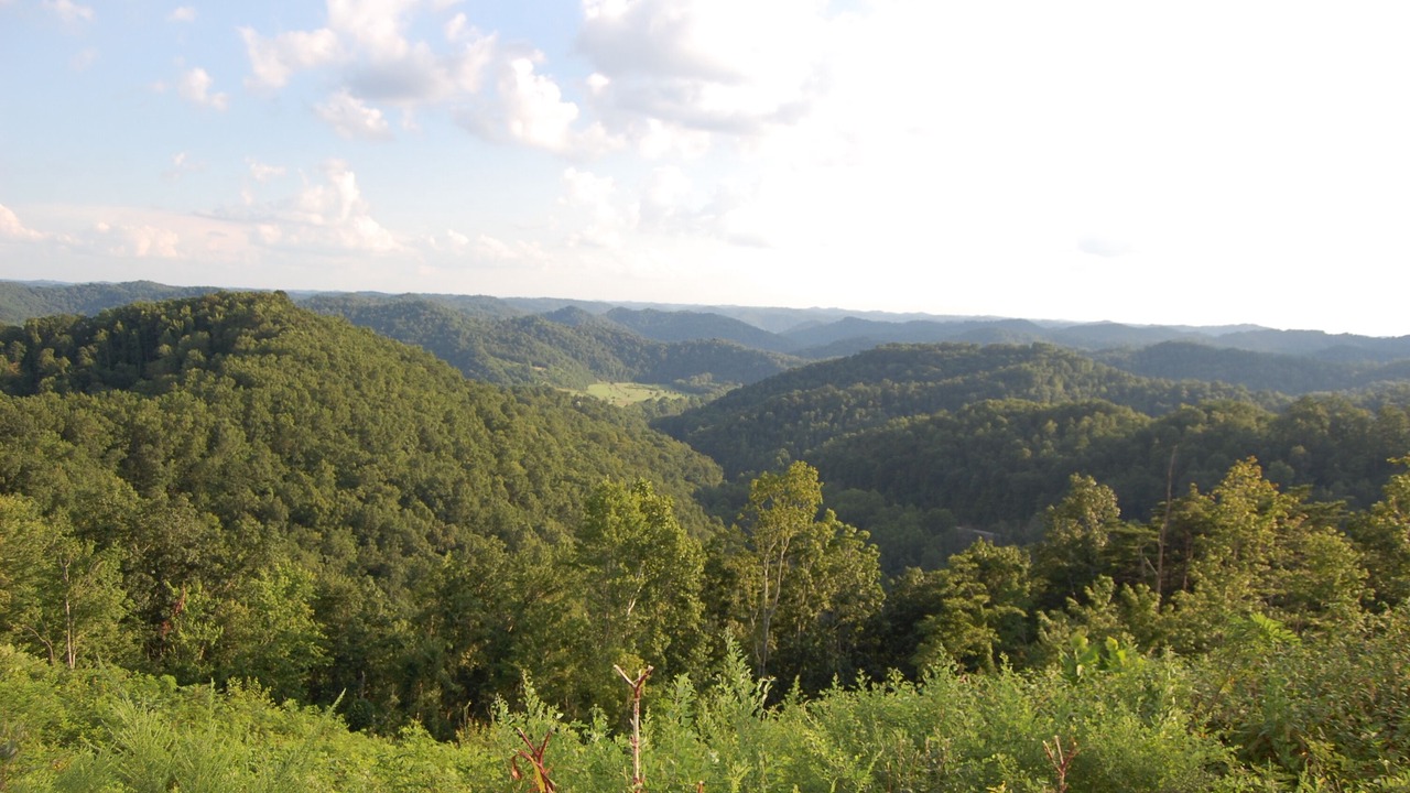 Photo of Outdoor in Jackson