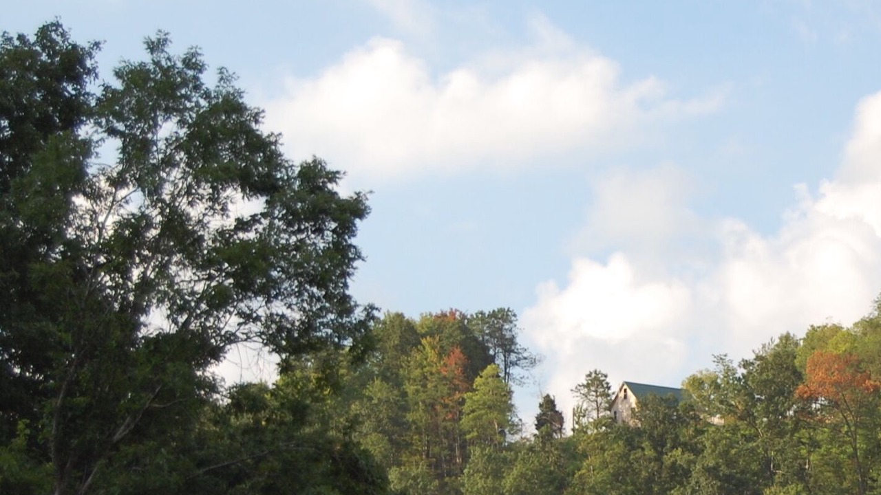 Photo of Others in Jackson