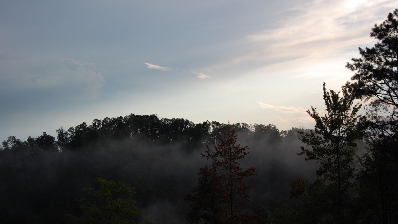 Photo of Others in Jackson