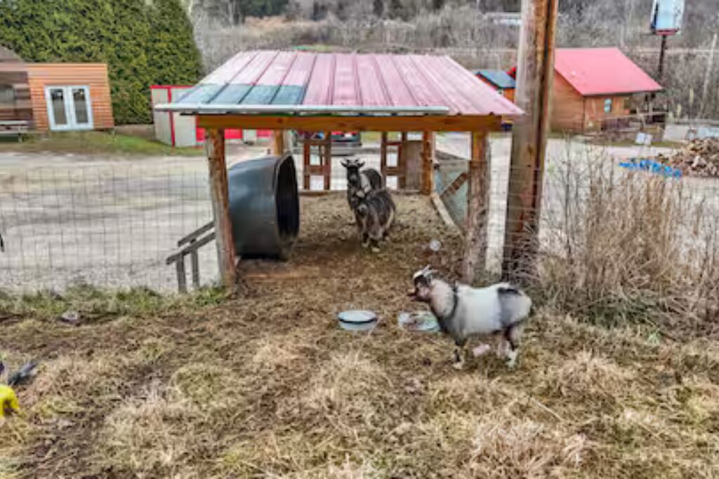 Photo of Others in Stanton