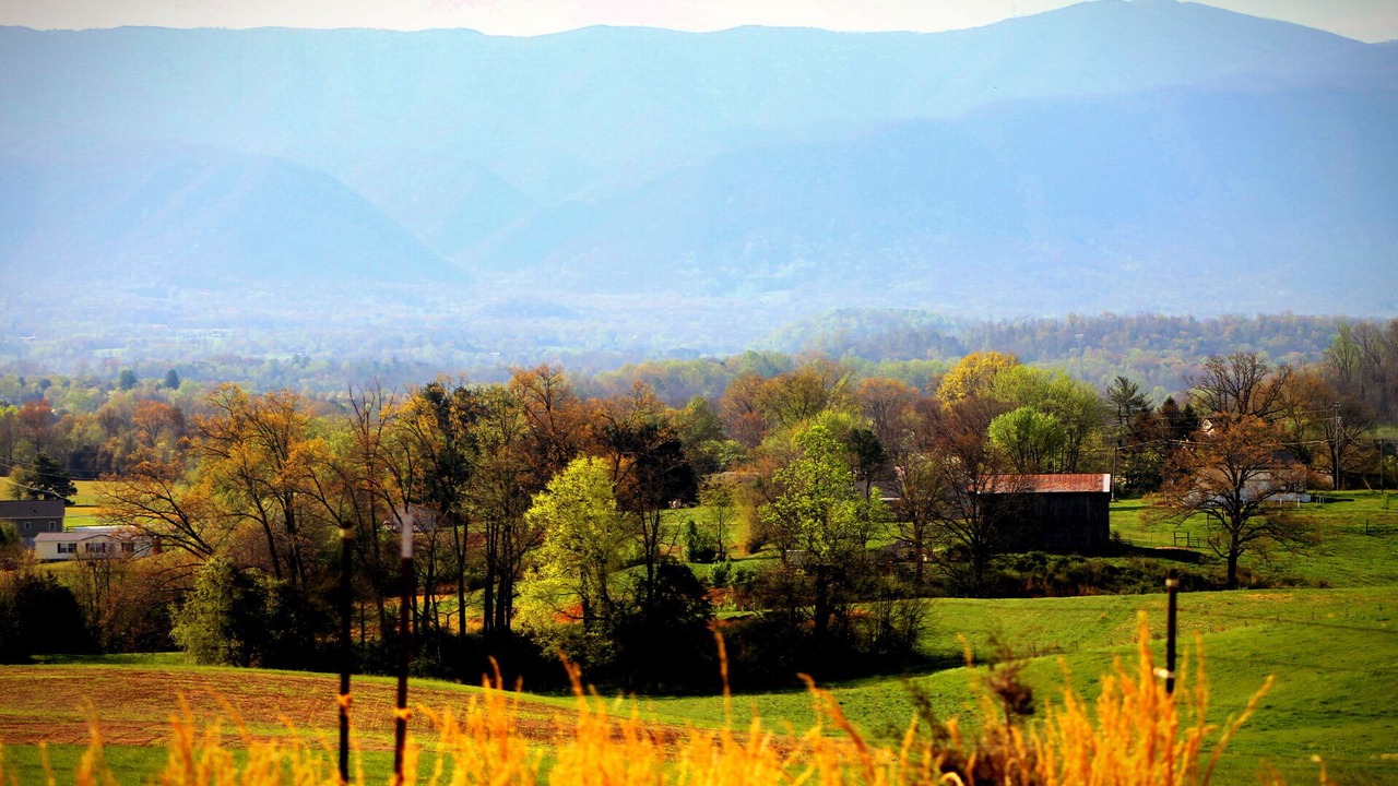 Photo of Others in Tusculum