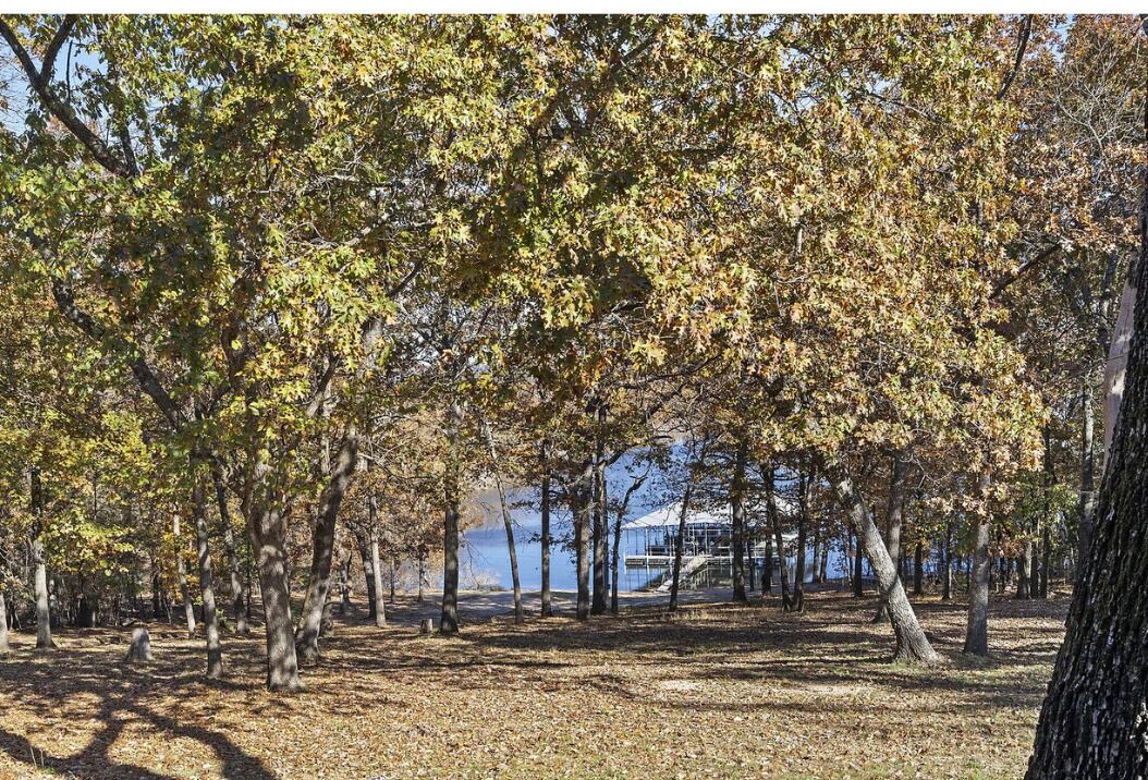 Photo of Others in Branson West