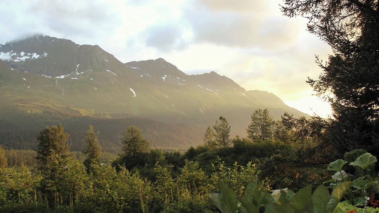 Photo of Others in Valdez