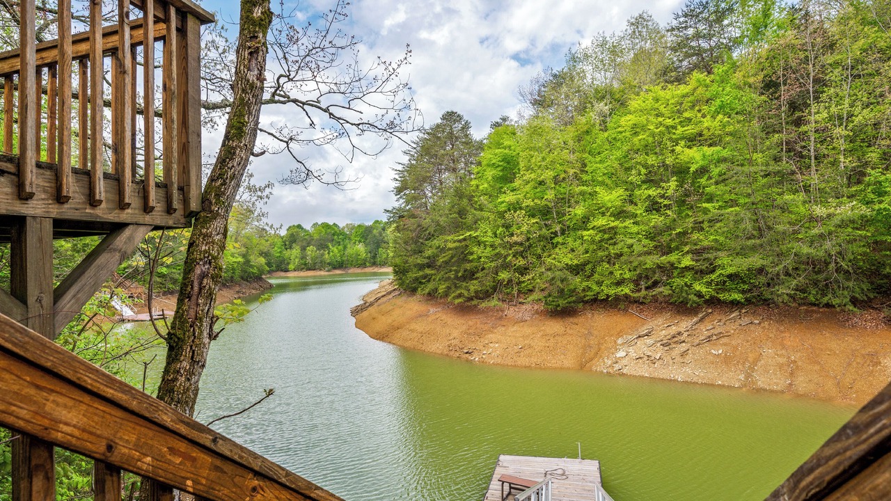 Photo of Outdoor in Dandridge