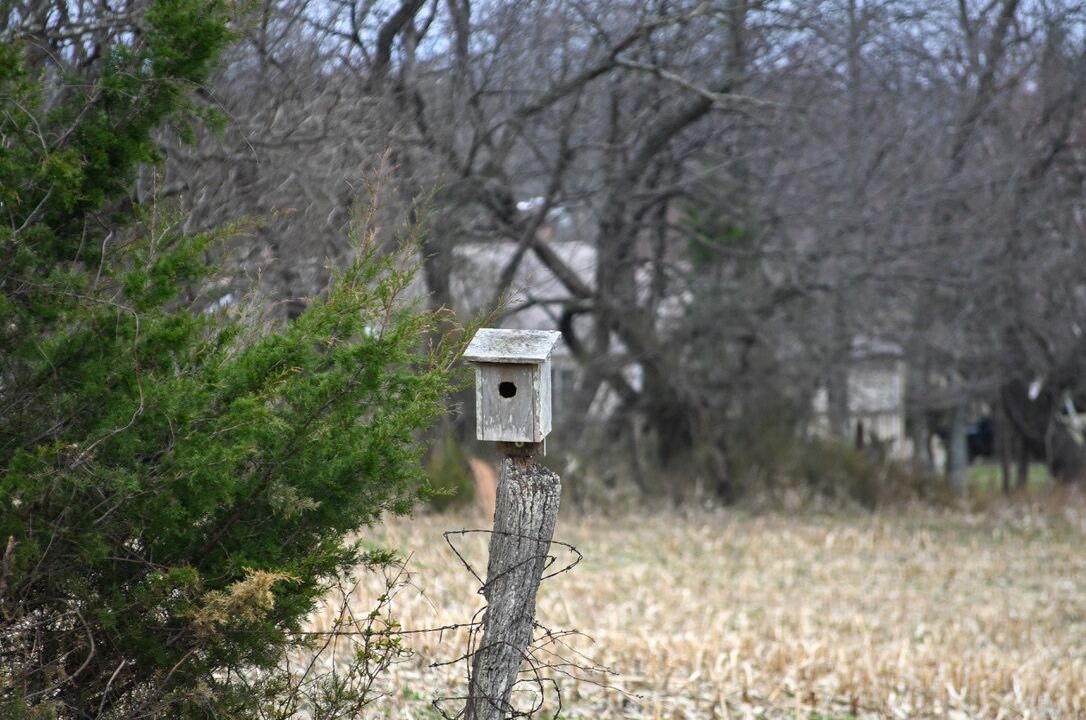 Photo of Others in Mount Airy