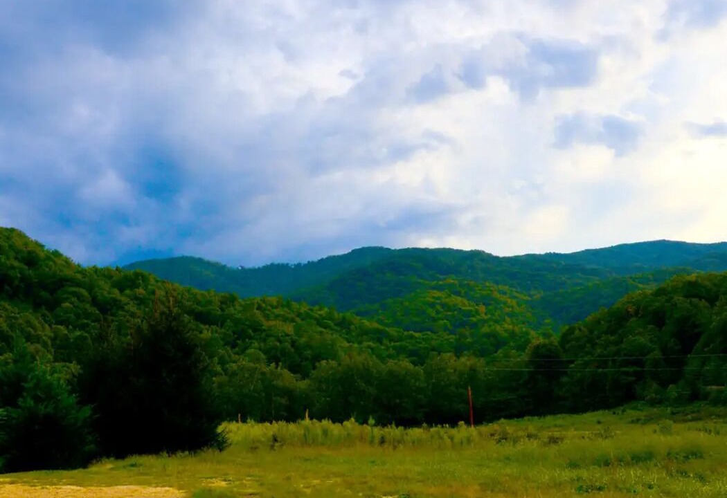 Photo of Others in Roan Mountain