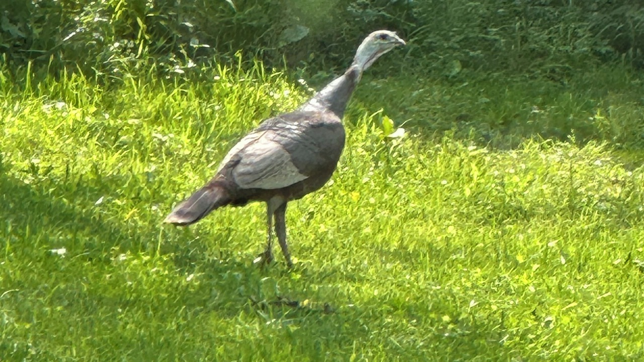 Photo of Others in Frenchburg