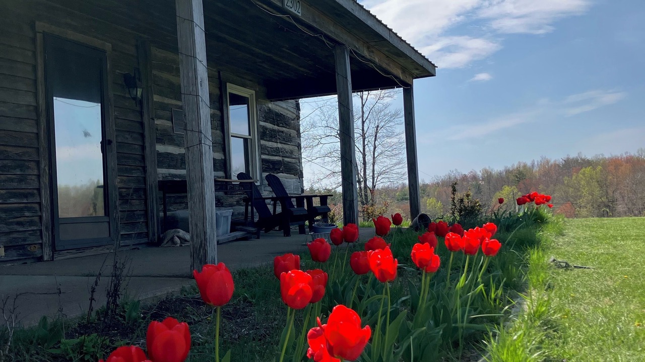 Photo of Patio Balcony in Frenchburg