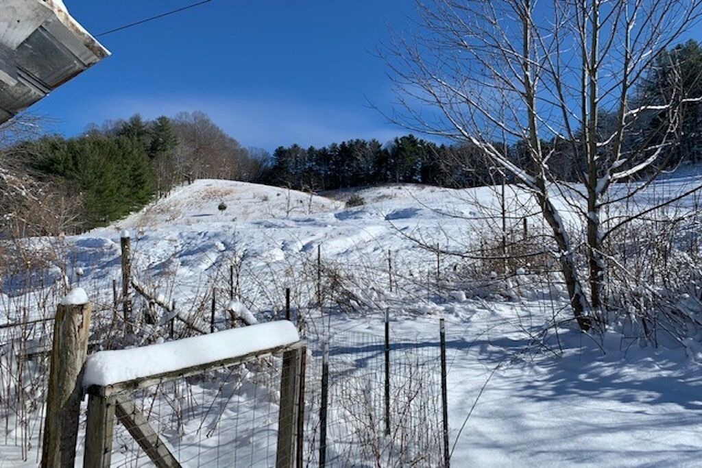 Photo of Outdoor in Hampton