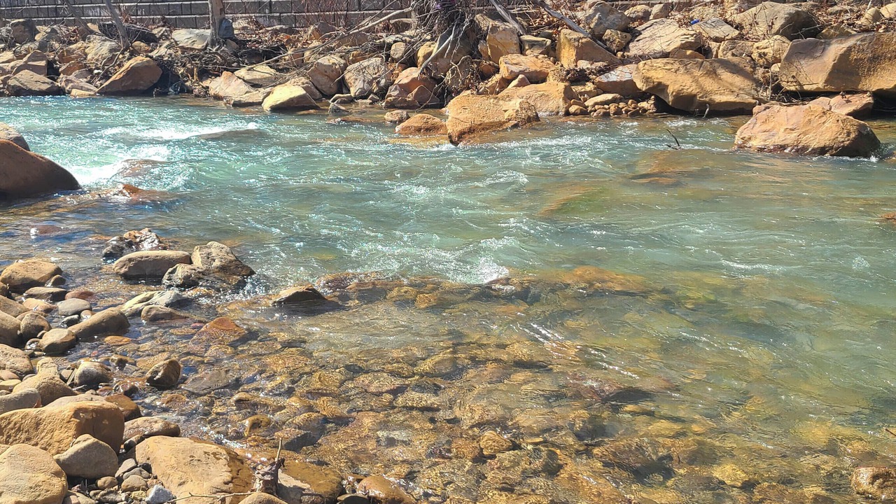 Photo of Others in Westernport