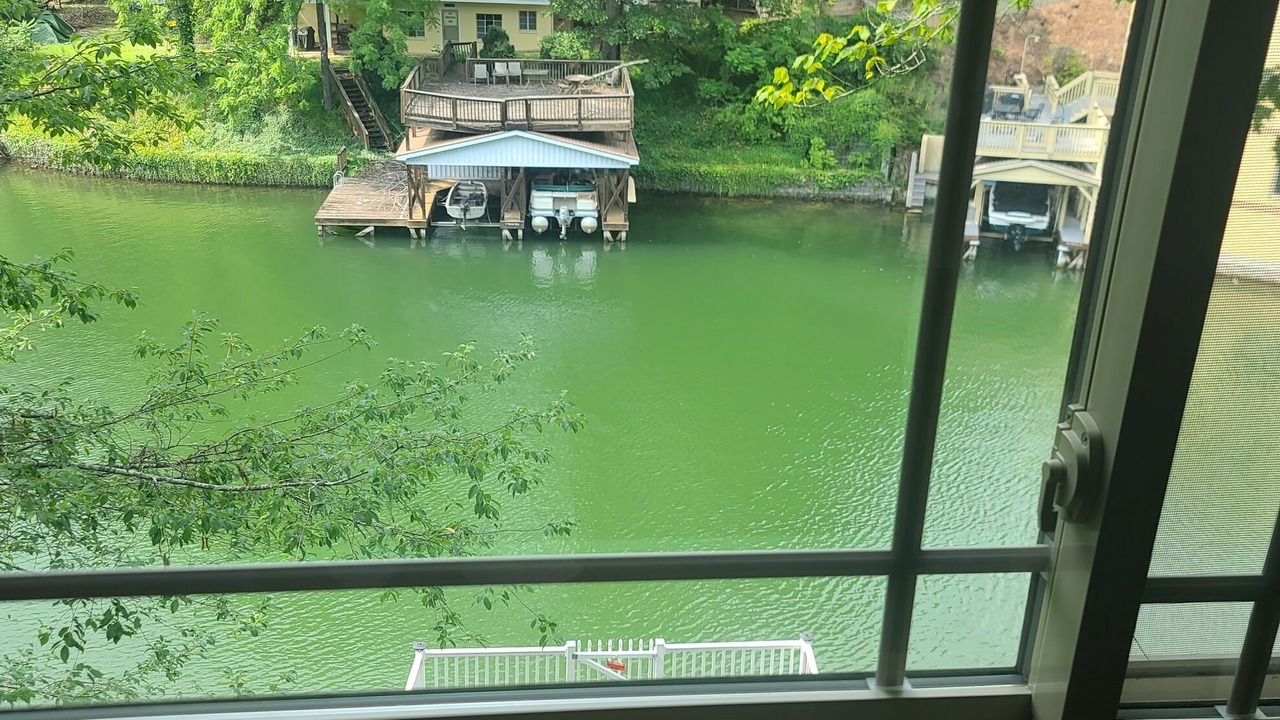 Photo of Others in Lake Lure