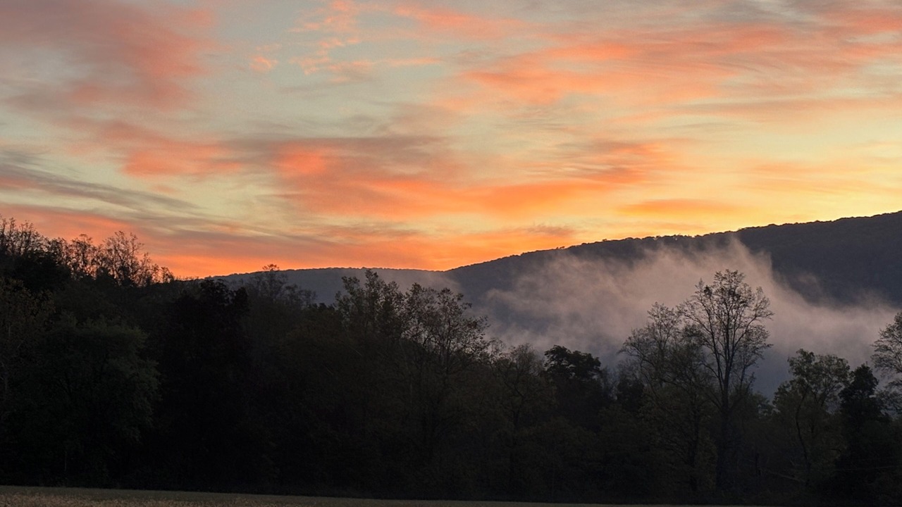 Photo of Others in Great Cacapon
