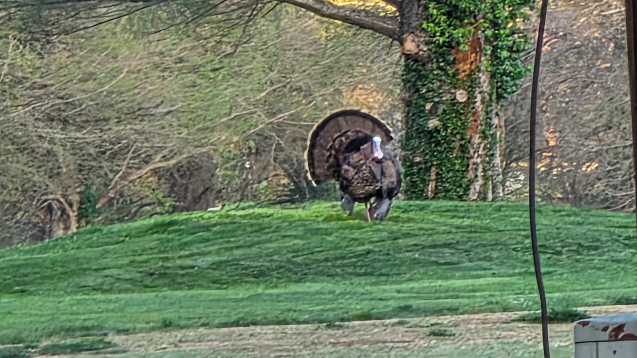 Photo of Others in West Columbia