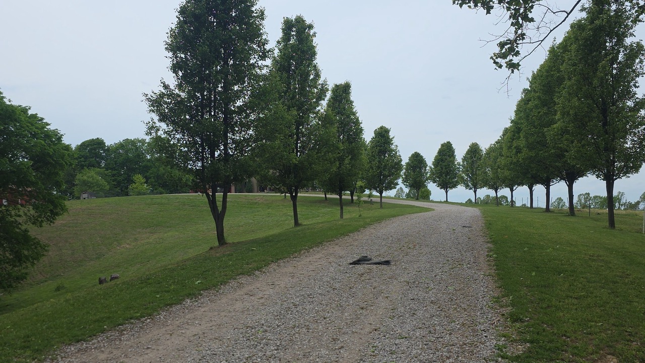 Photo of Outdoor in West Columbia