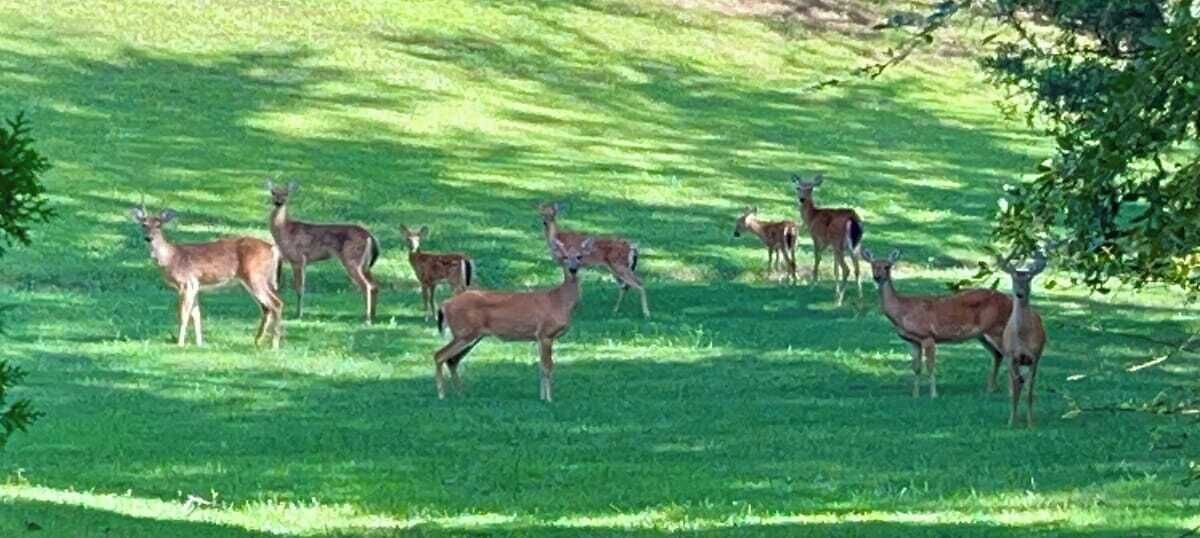Photo of Others in Dandridge
