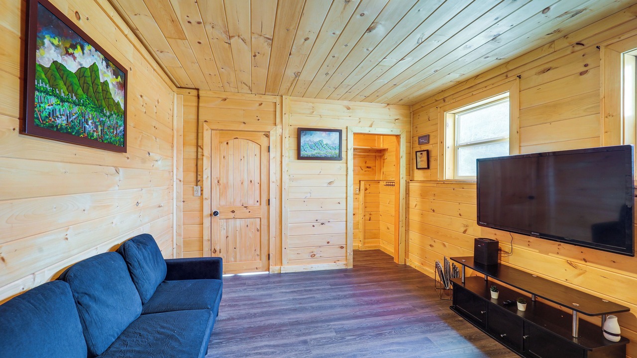 Photo of Livingroom in Mountain City