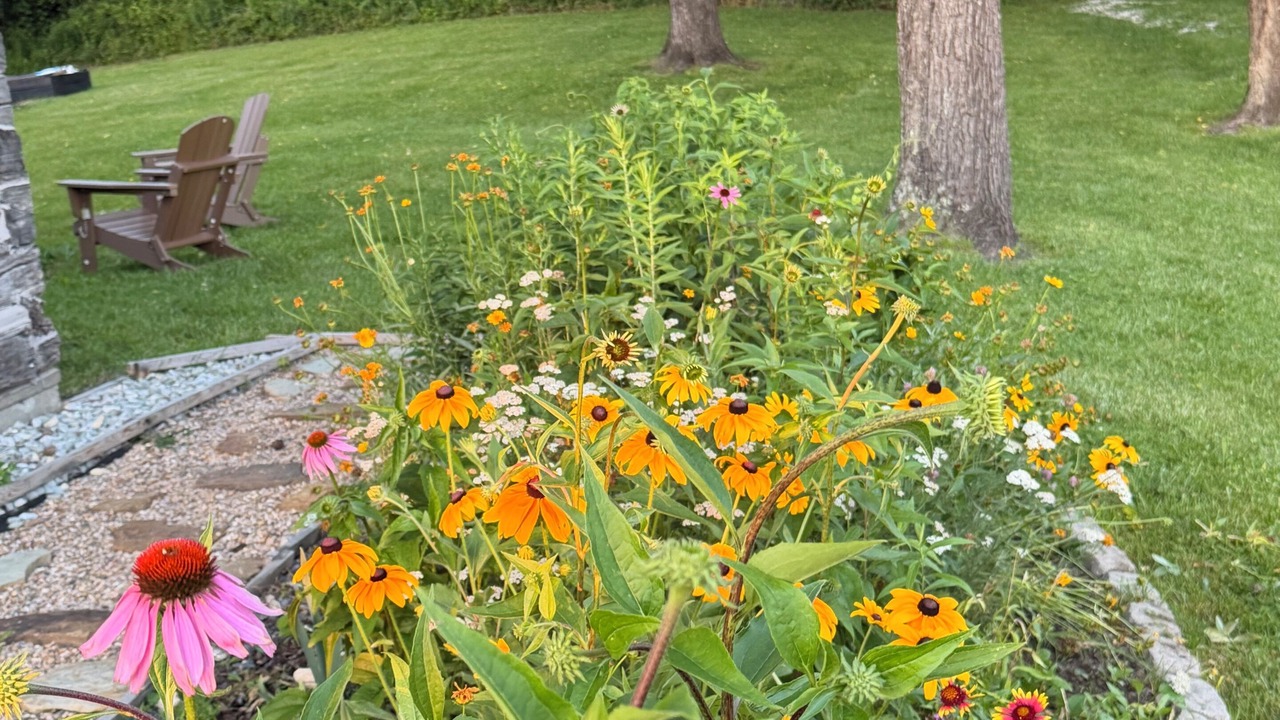 Photo of Outdoor in Frenchburg
