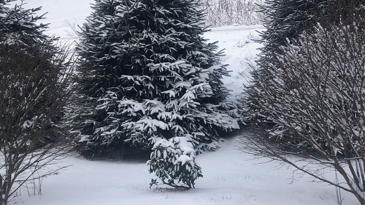 Photo of Outdoor in Newland