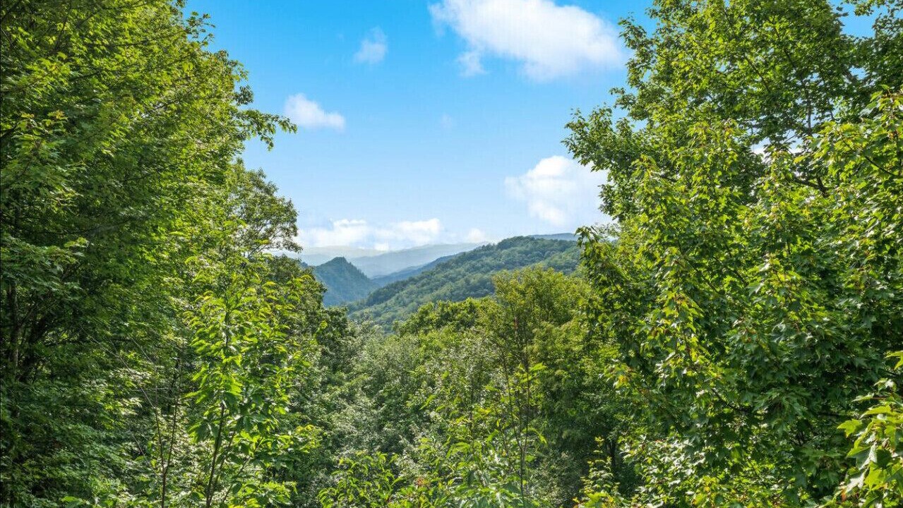 Photo of Others in Maggie Valley