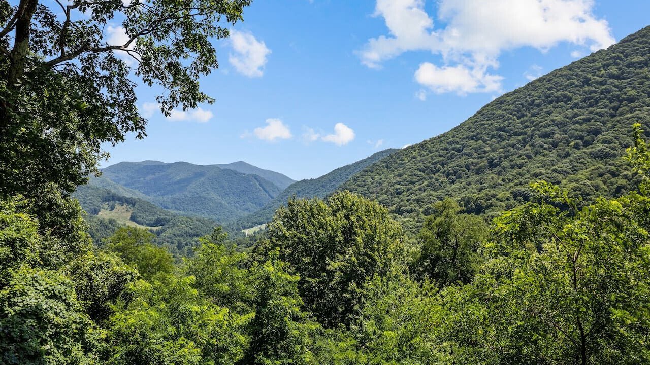 Photo of Others in Maggie Valley