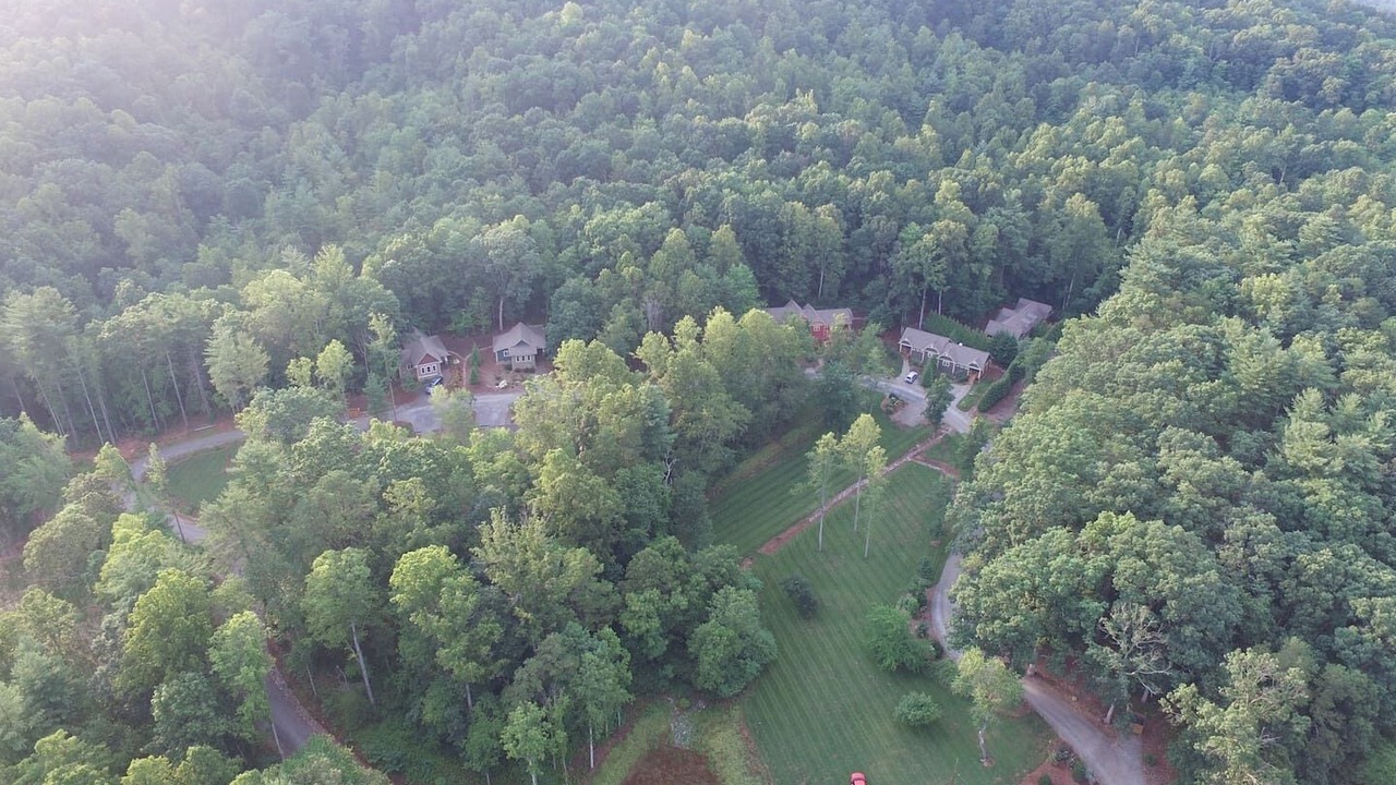 Photo of Others in Skyland