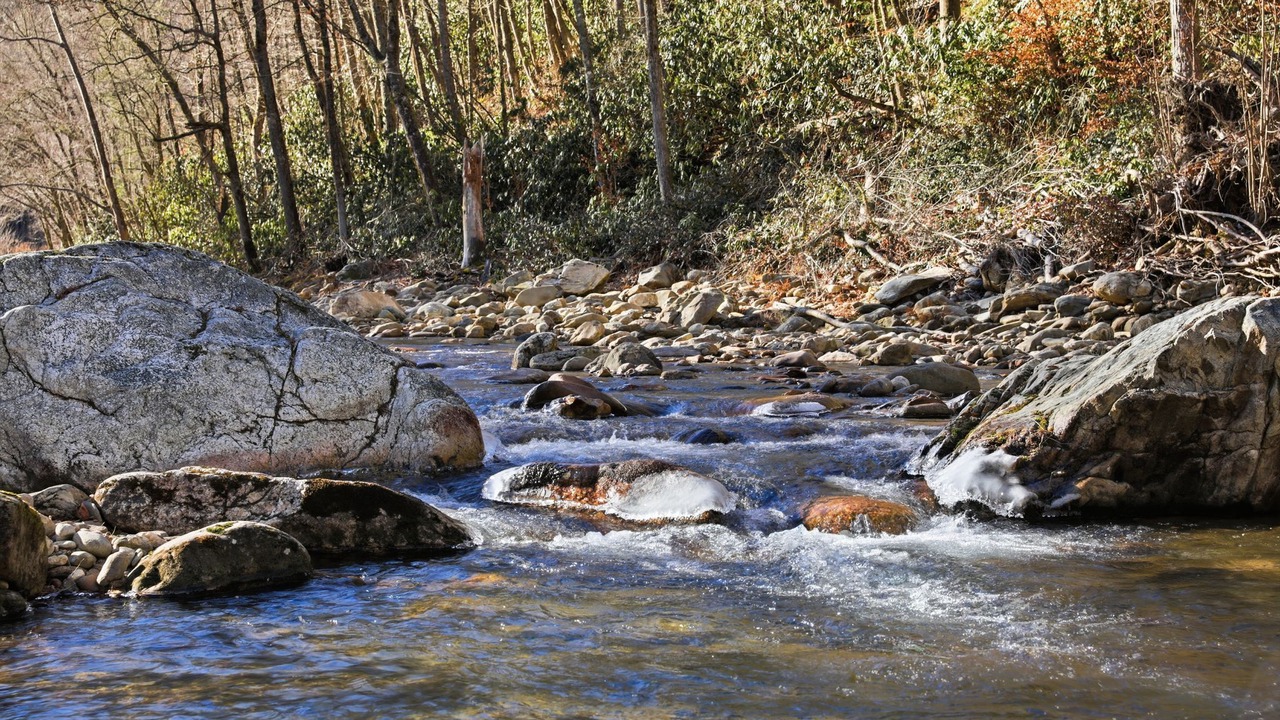 Photo of Others in Canton