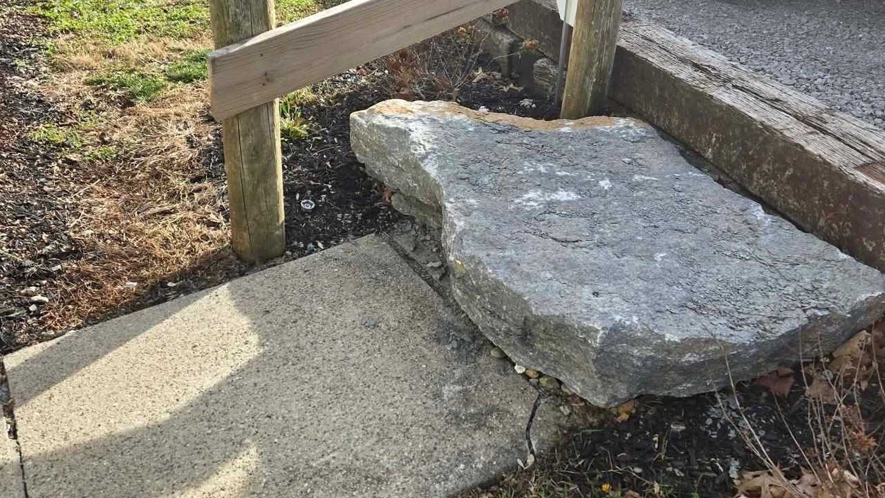 Photo of Outdoor in Williamstown